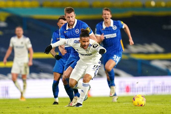 Highlight trận đấu Brighton &amp; Hove Albion vs Leeds United ngày 28/11 | Xem lại trận đấu